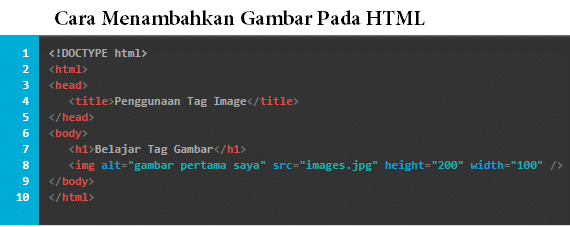 Fungsi Tag Image HTML Dan Tutorial/Cara Menambahkan Gambar Di HTML