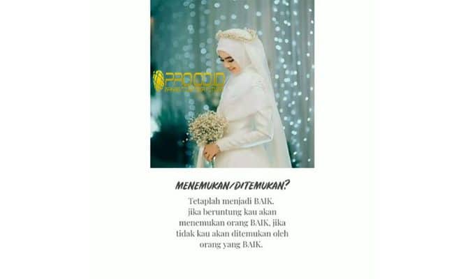 Gambar Buat Quotes Literasi 