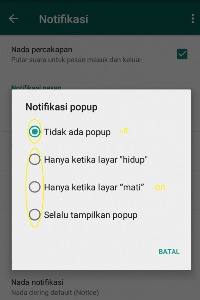 Cara Mengaktifkan dan Menonaktifkan Notifikasi Popup di WhatsApp, Agar