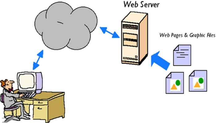 Pengertian Web Server, Fungsi, Jenis, Cara Kerja dan Contoh Web Server  Lengkap