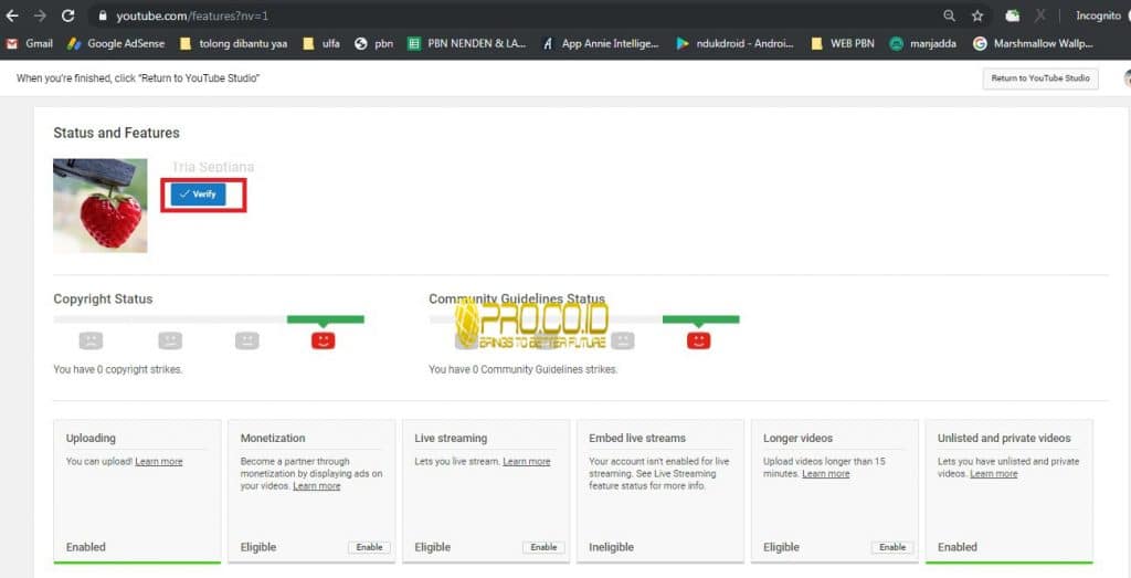 Melihat Akun YouTube Adsense yang Terverifikasi: Panduan Lengkap dari Proses Hingga Optimasi