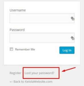 Cara Mengatasi Masalah Lupa Password WordPress Paling Mudah