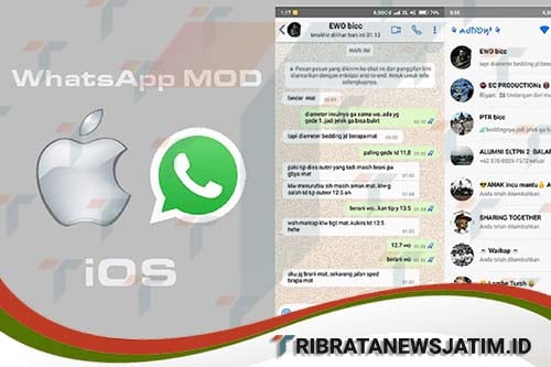 whatsapp mod ios